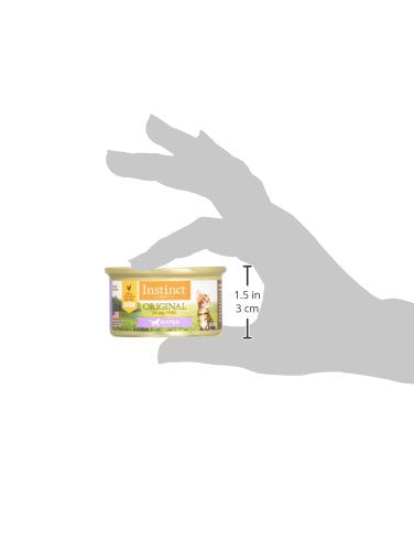 Instinct Original kitten wet food salmon pate close-up emphasizing palatable flavor.