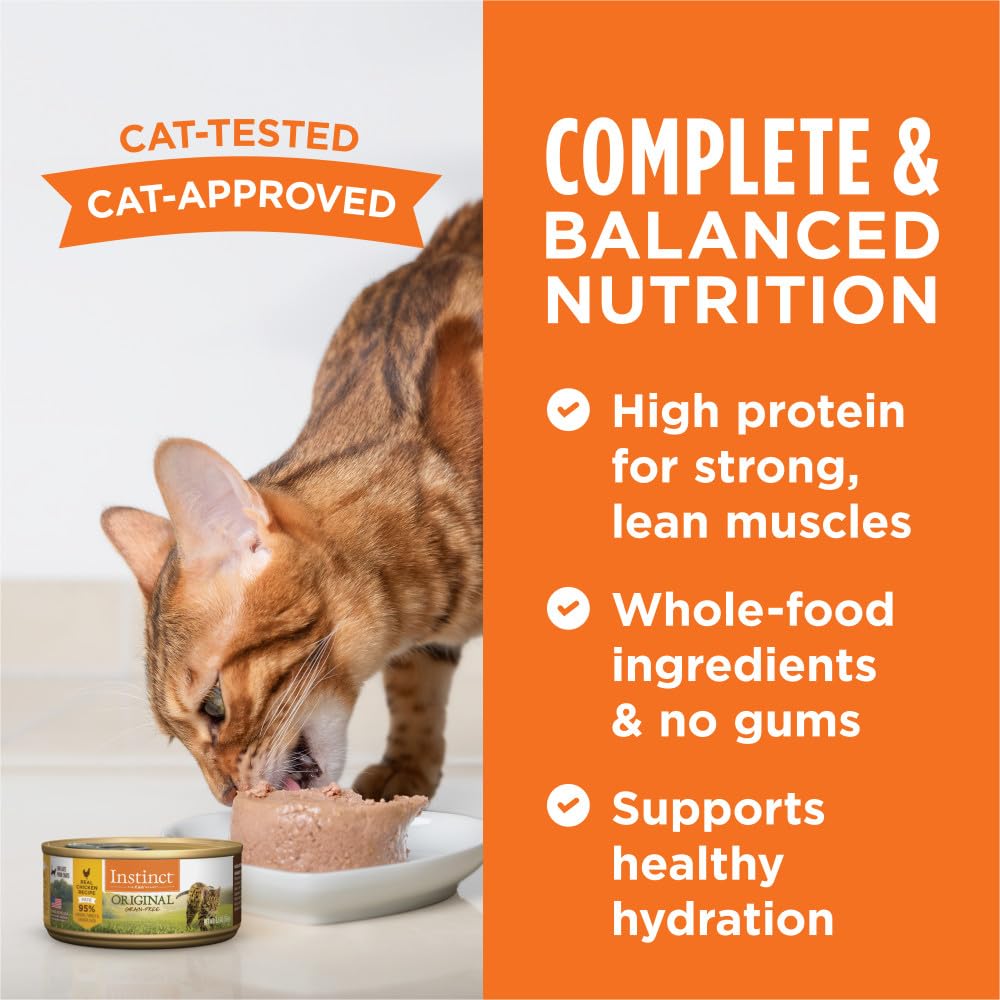 Instinct Original Pate salmon closeup showcases wild-caught protein with rich flavor