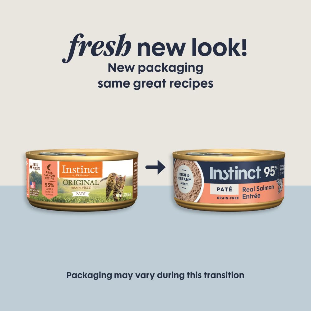 Instinct Original salmon pâté texture close-up emphasizes a smooth cat-friendly serving.