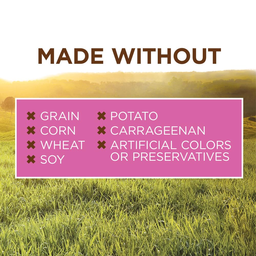 Instinct Original serving as a moisture-rich meal for small dogs.