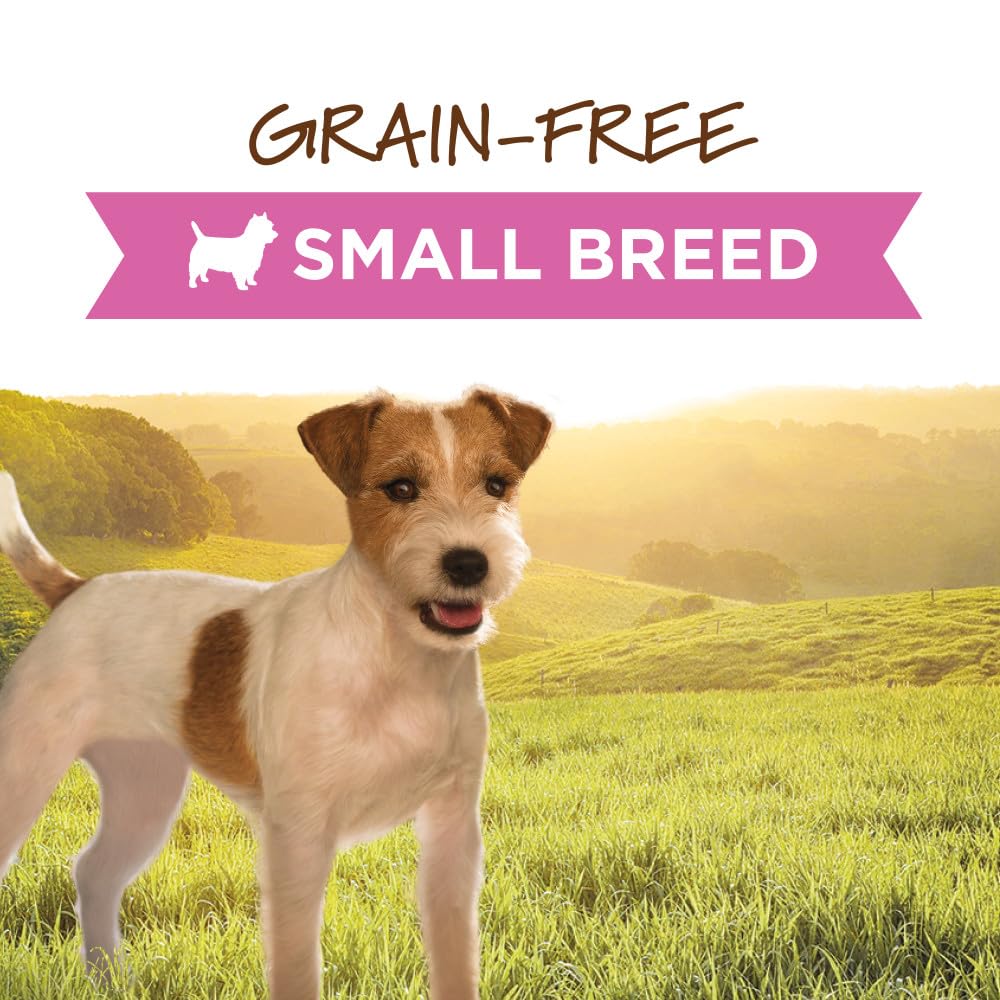 Instinct Original label close-up showing grain-free formula for sensitive tummies.