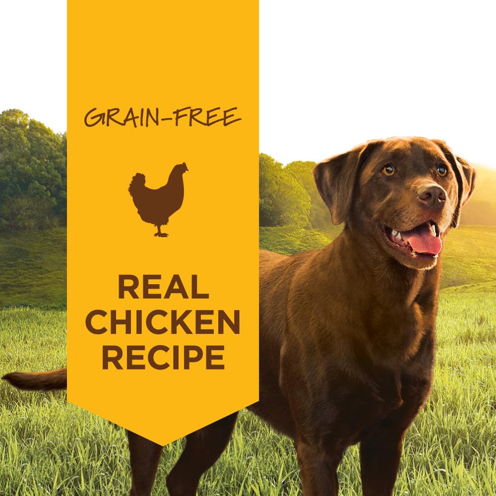 Instinct Original Wet Dog Food serving in bowl, convenient mealtime appeal