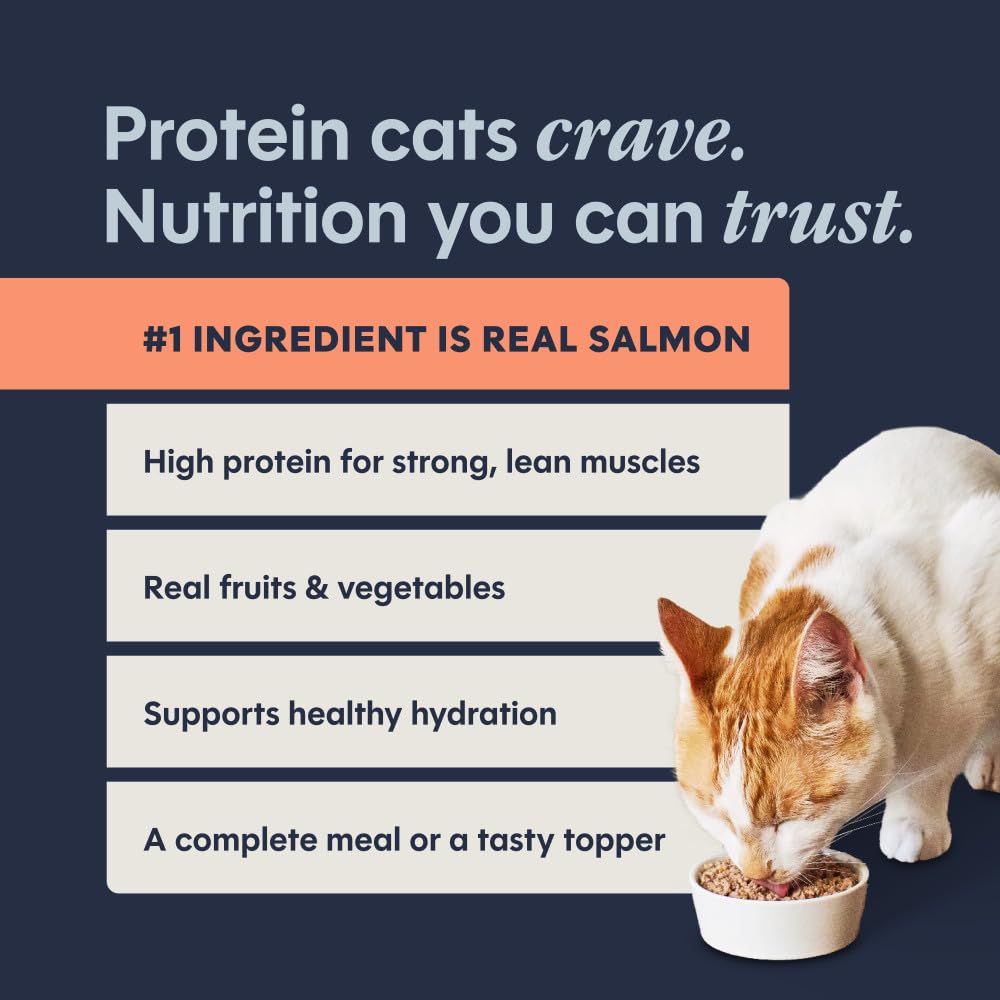 Instinct Pate Entrees raw-inspired nutrition close-up hints at real-food approach.
