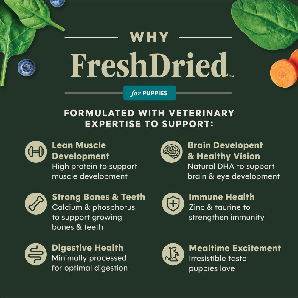 Instinct Puppy Freeze-Dried Meal with DHA close-up supports brain development.