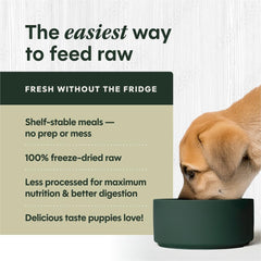 Instinct Puppy Freeze-Dried Meal close-up emphasizes lean muscle support during growth.