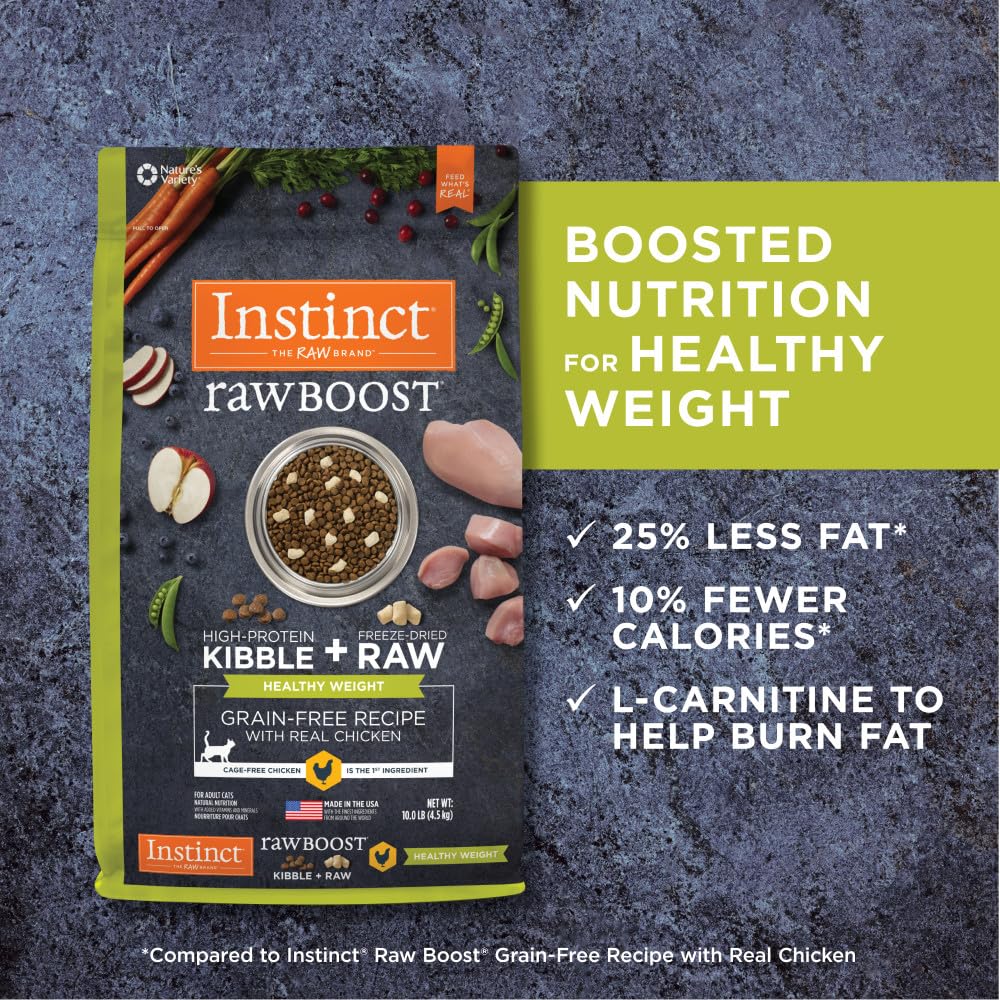 Balanced fiber promotes fullness between meals for cats