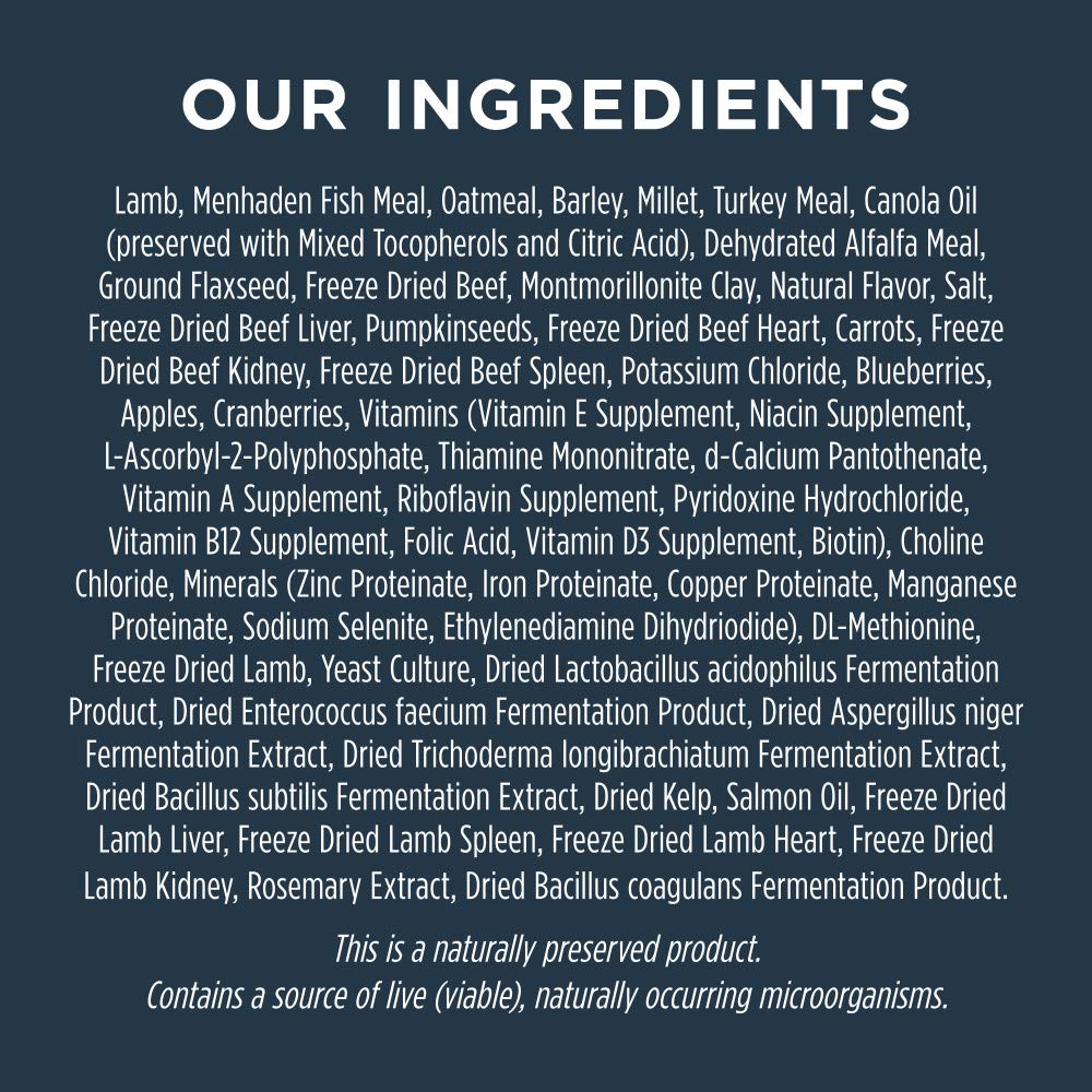 Instinct Raw Boost dog-enjoying-meal: satisfying texture and flavor