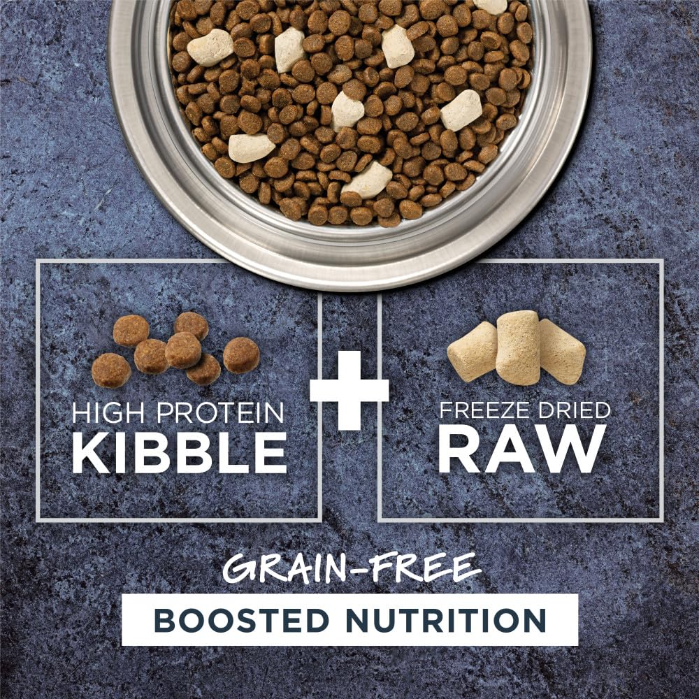 Instinct Raw Boost freeze-dried pieces close-up highlighting crunchy texture and flavor.