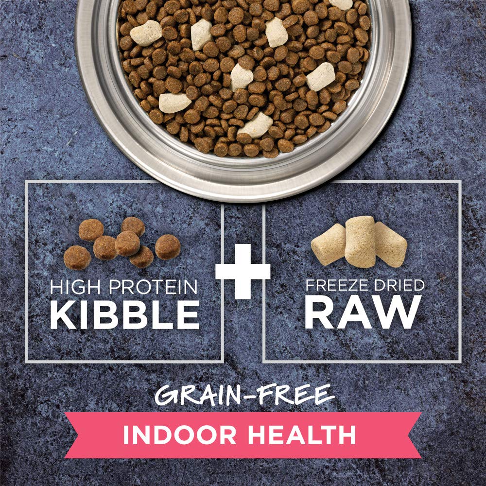 Instinct Raw Boost freeze-dried pieces closeup capturing textured bites.