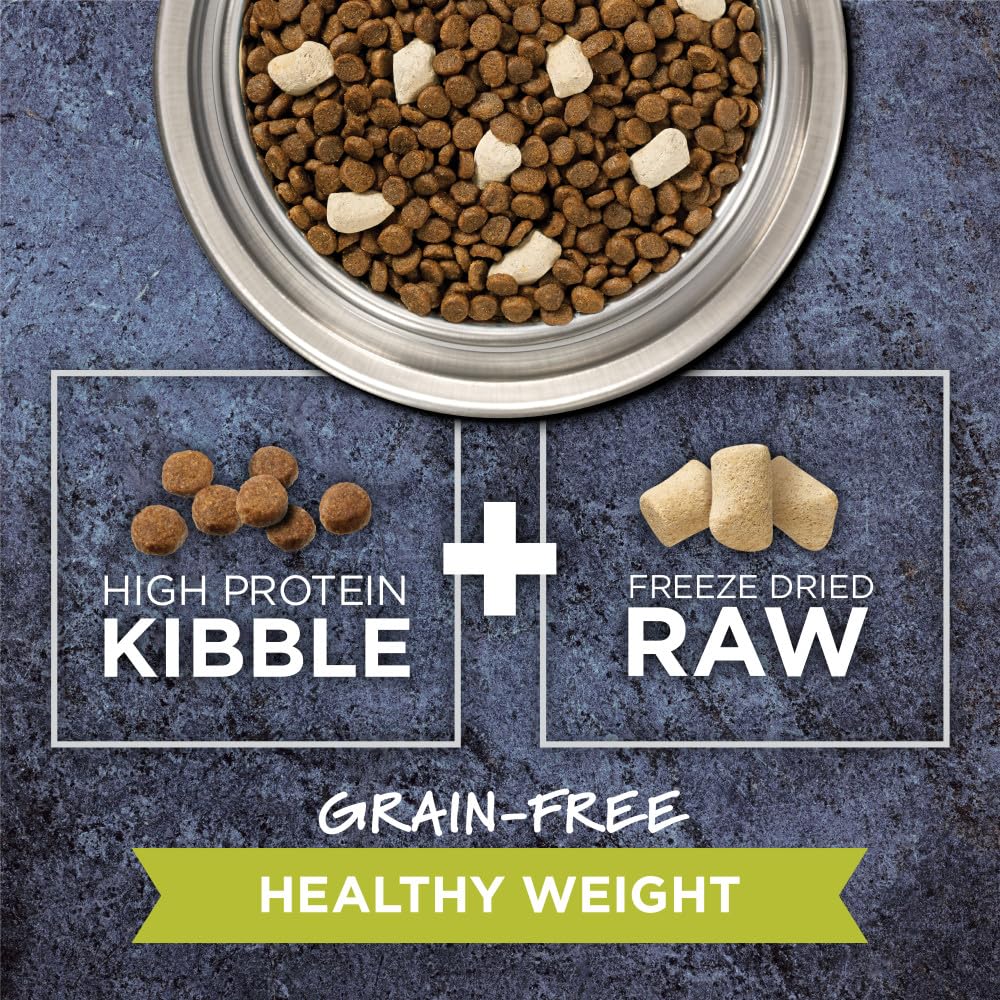 Freeze-dried raw pieces coating kibble for enhanced texture and flavor