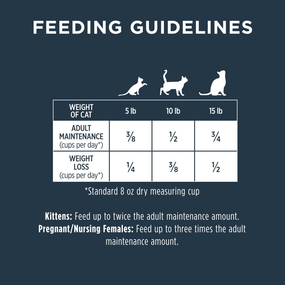 Instinct Raw Boost high-protein formula supports active cats during play and meals.
