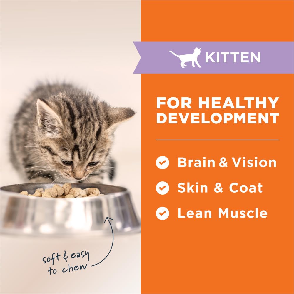 Instinct Raw Meals packaging back label emphasizes grain-free formula.