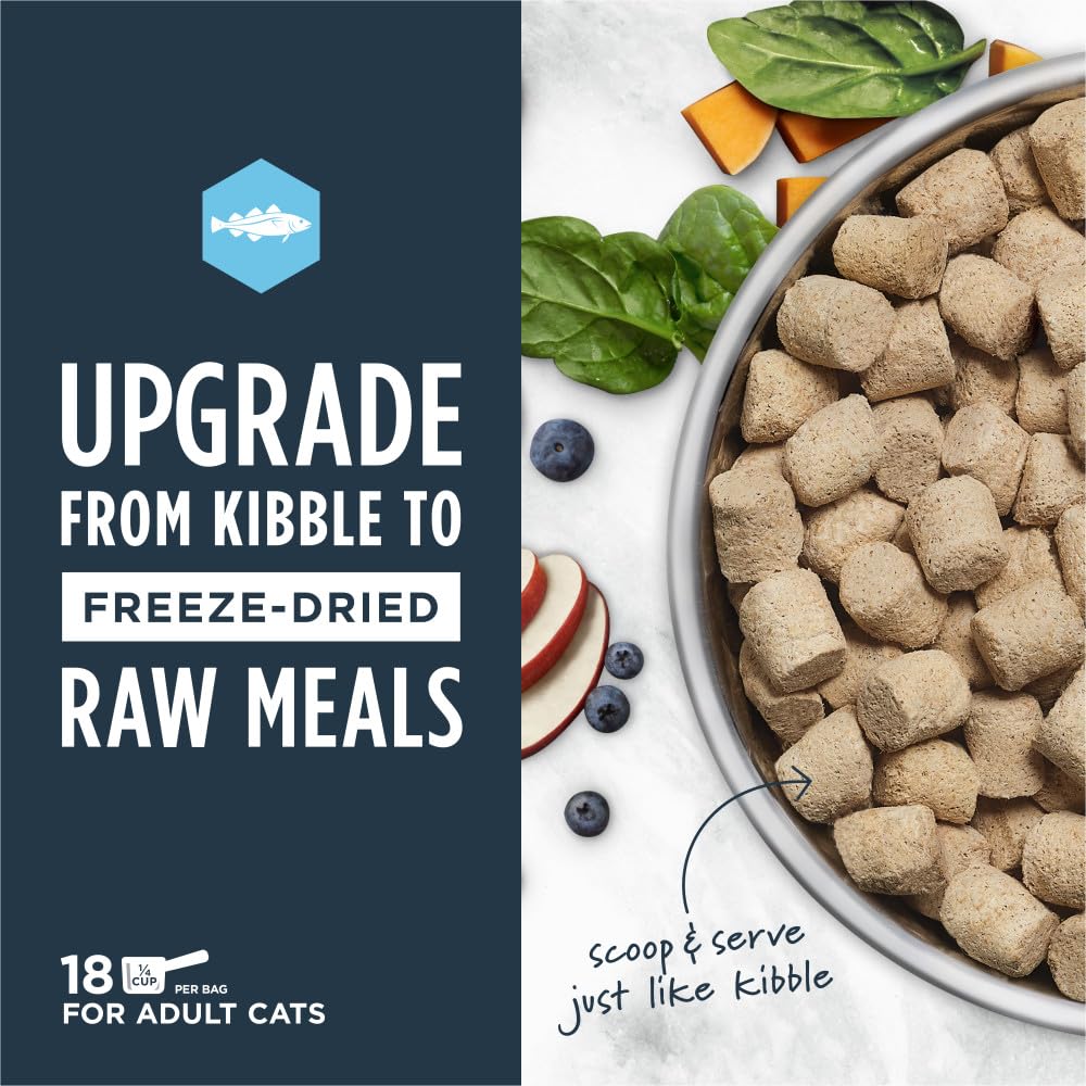 Instinct Raw Meals pollock bowl served, inviting texture for indoor cats.
