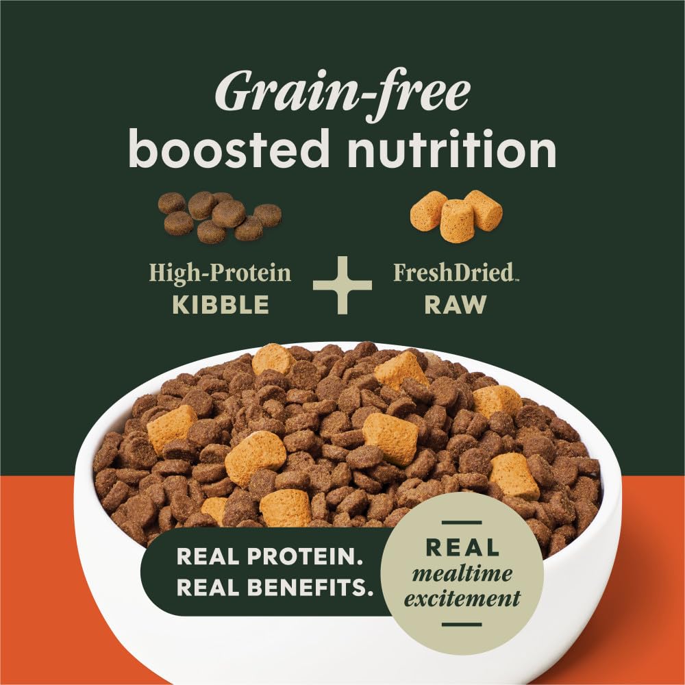 Instinct RawBoost crunchy kibble with FreshDried Raw pieces offers bold texture and flavor