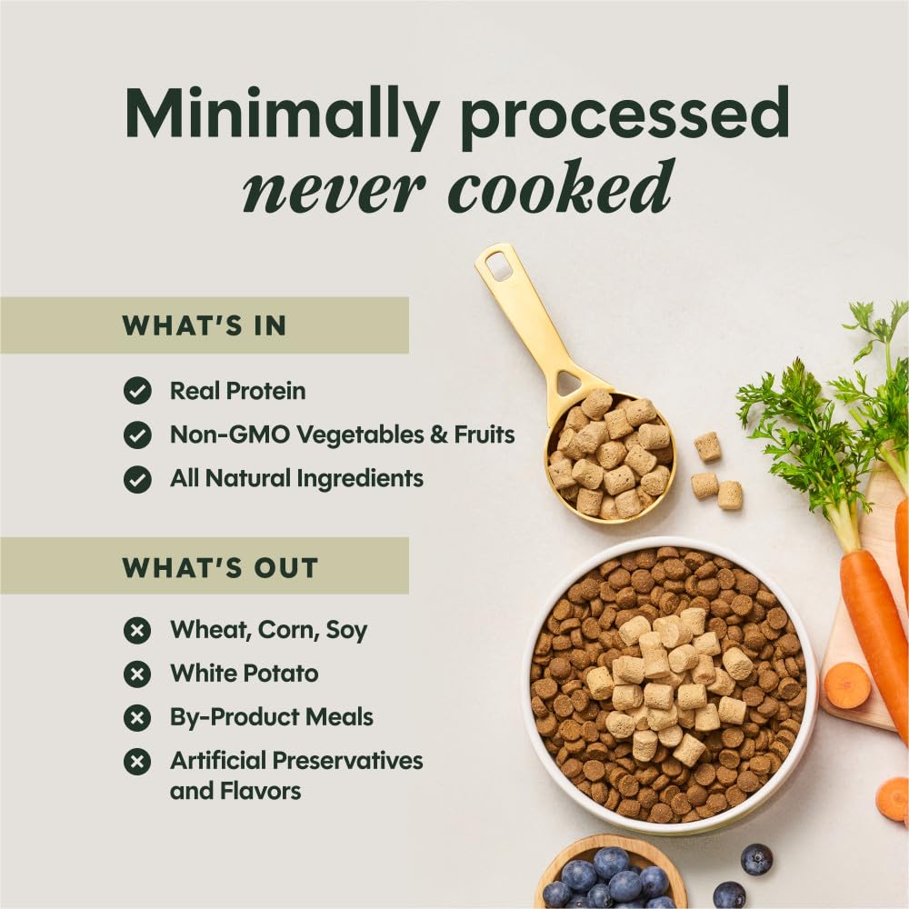 Grain-free recipe icon signals absence of grain and fillers.