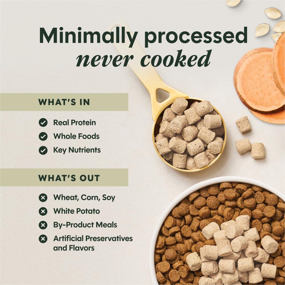Instinct RawBoost Mixers pour-over topper beside serving spoon for easy use.