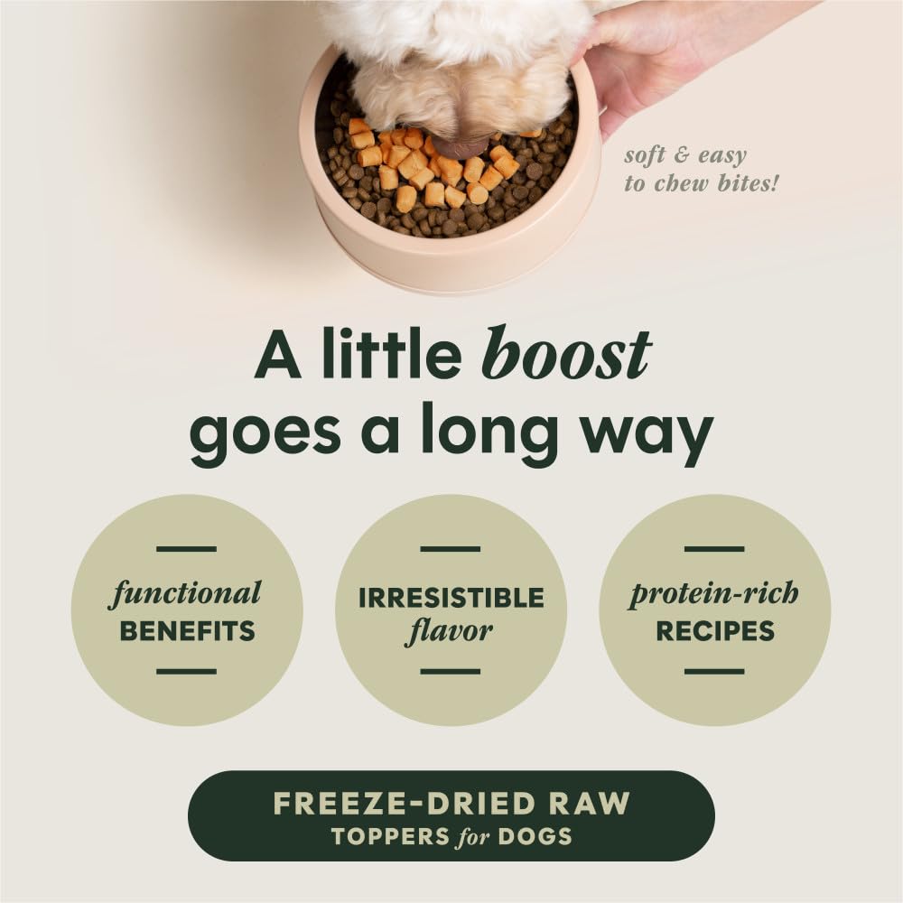 Instinct RawBoost Mixers probiotic blend image emphasizes gut-friendly support and tastier meals.