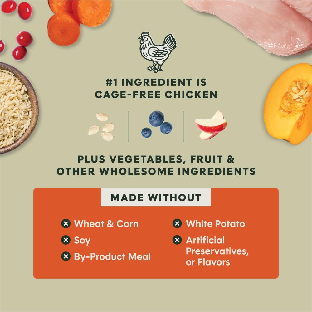 Instinct RawBoost probiotics and prebiotics support gut balance