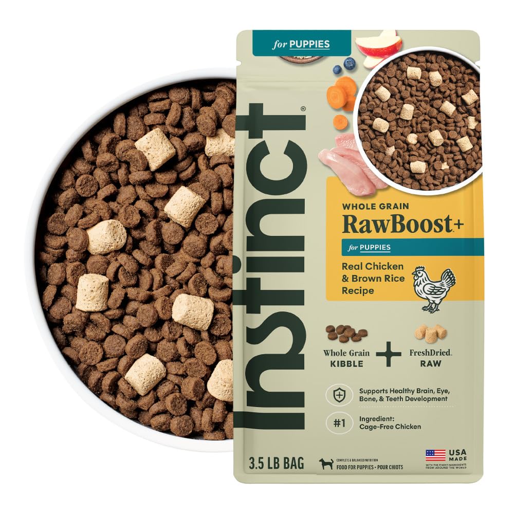 Instinct RawBoost Puppy kibble-bowl with real chicken fueling active puppies.