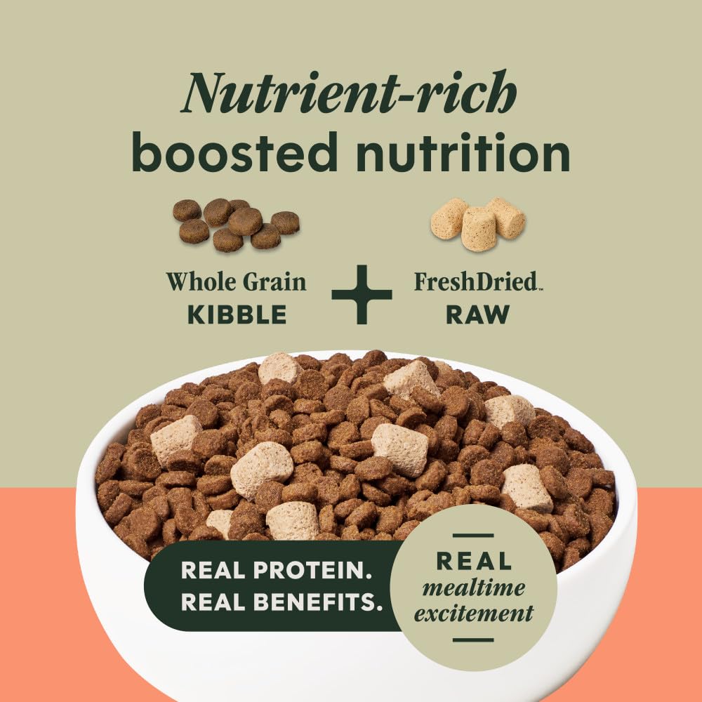 Instinct RawBoost salmon chunks closeup highlights real protein in every bite