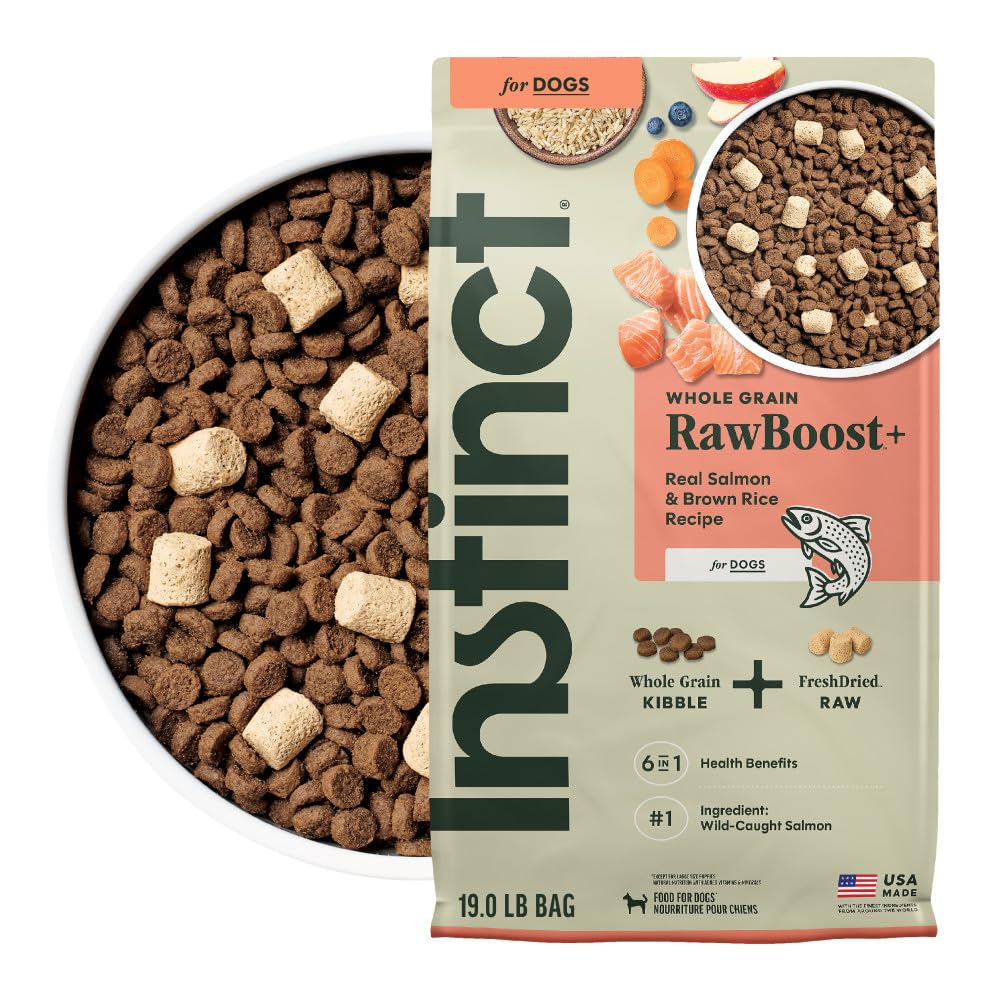 Instinct RawBoost salmon-kibble with brown rice supports balanced nutrition at mealtime.