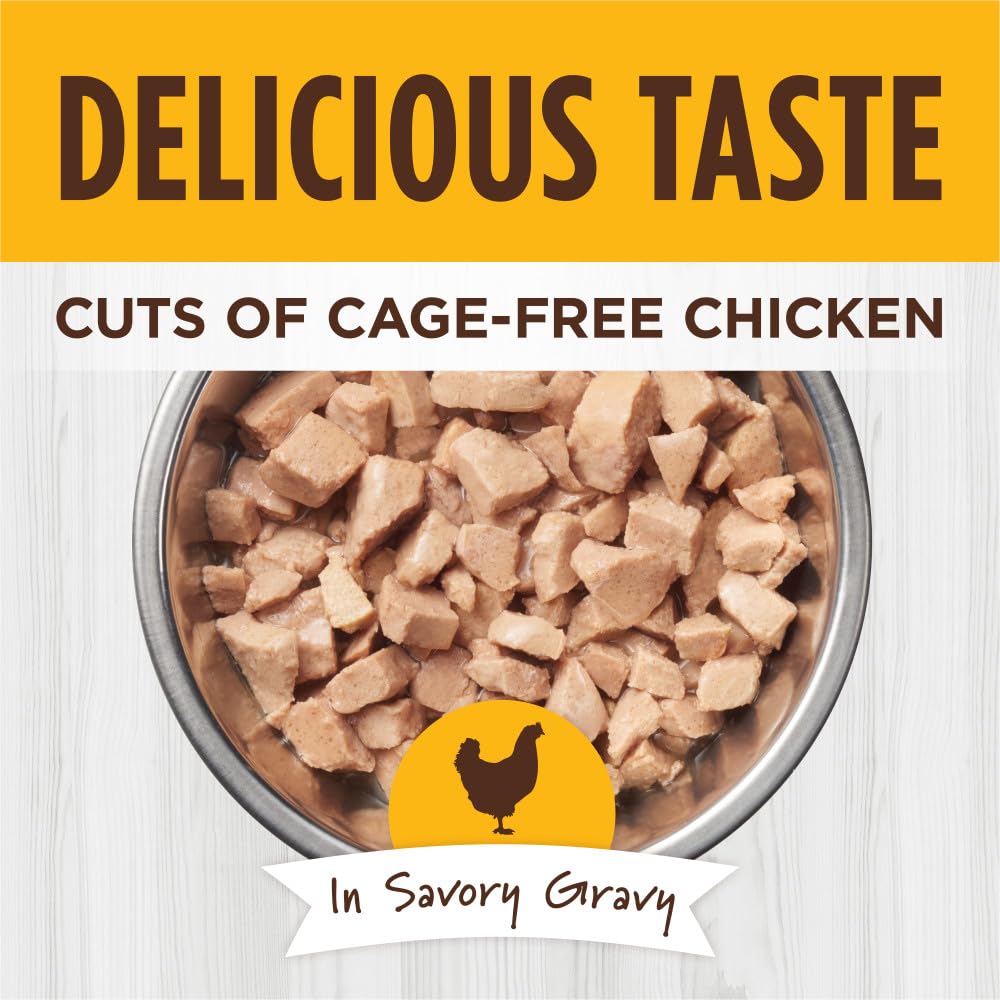 Instinct Real Chicken Gravy detail highlighting savory flavor and protein