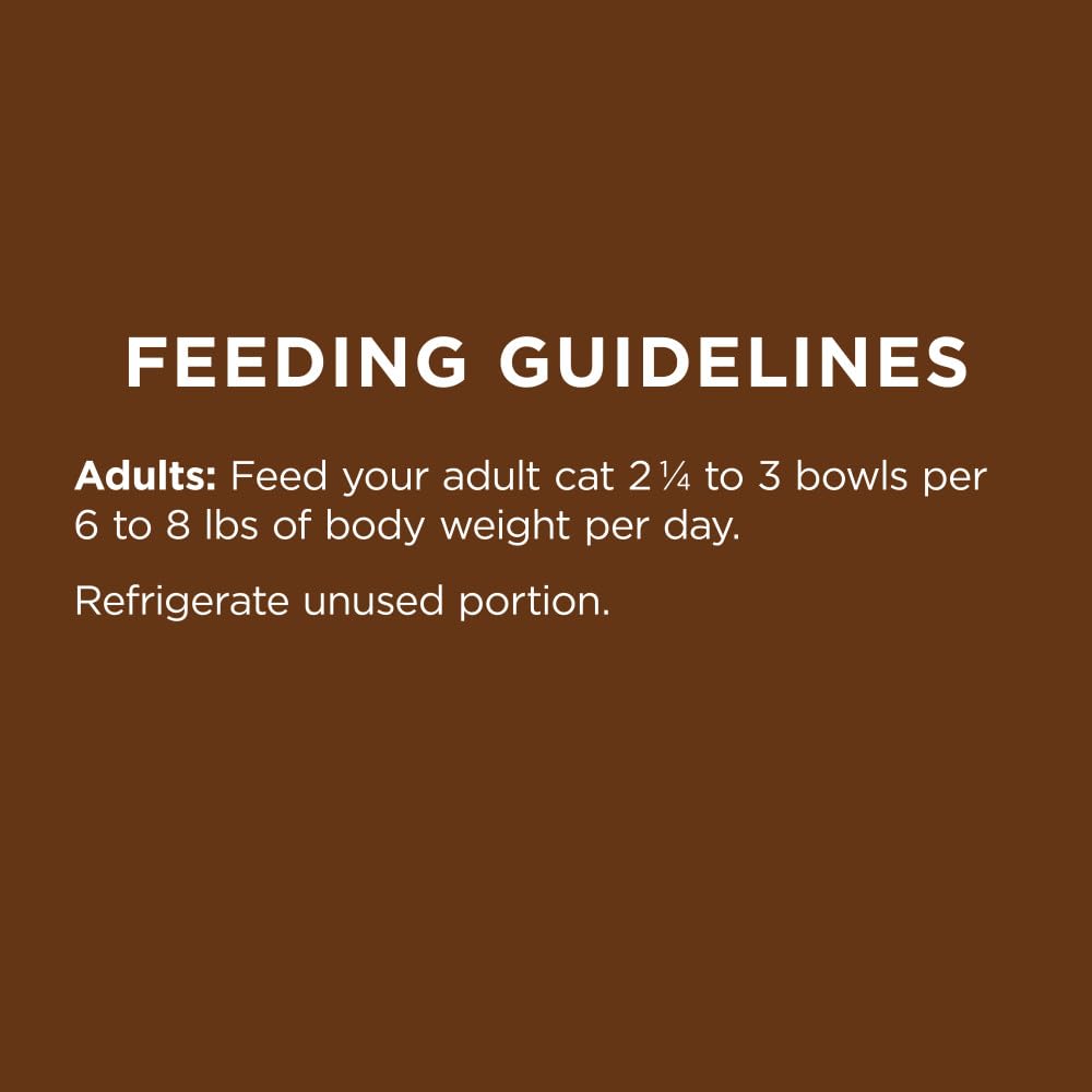 Instinct serving idea with bowl shows portion-controlled meals for hydration.