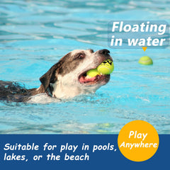 INSUM colorful dog balls for high visibility in grass and parks