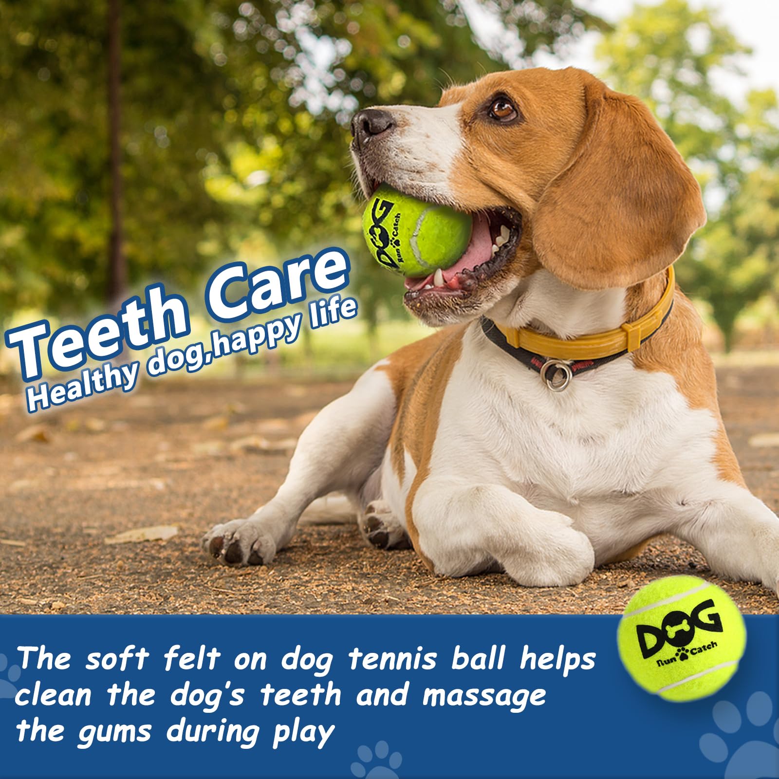 INSUM non-toxic dog balls SGS certified for safe backyard fun
