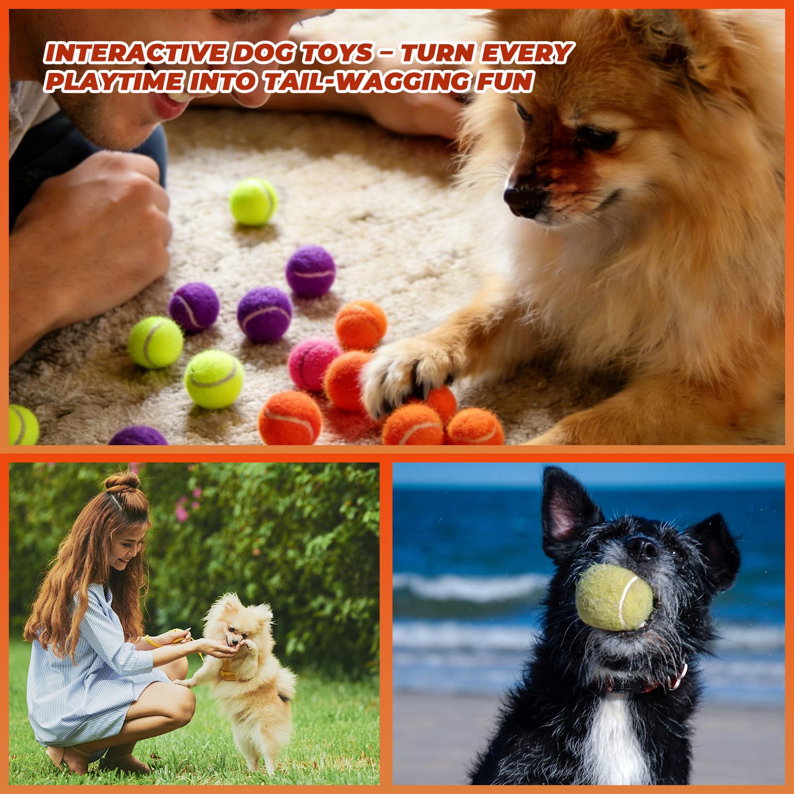 INSUM playtime scene with a small dog and cat, showcasing versatility