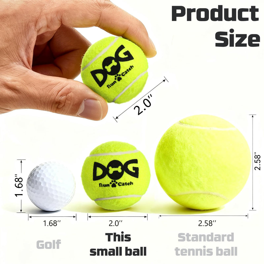 INSUM small-dog friendly size ideal for daily fetch and backup toys.