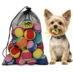 INSUM squeaky ball 2-inch, ideal for small dogs, safe play.