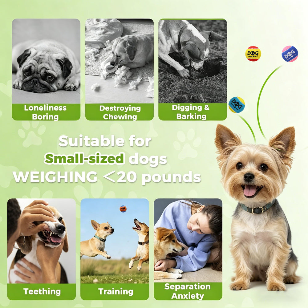 INSUM squeaky ball in vibrant colors improves visibility for indoor and outdoor play.