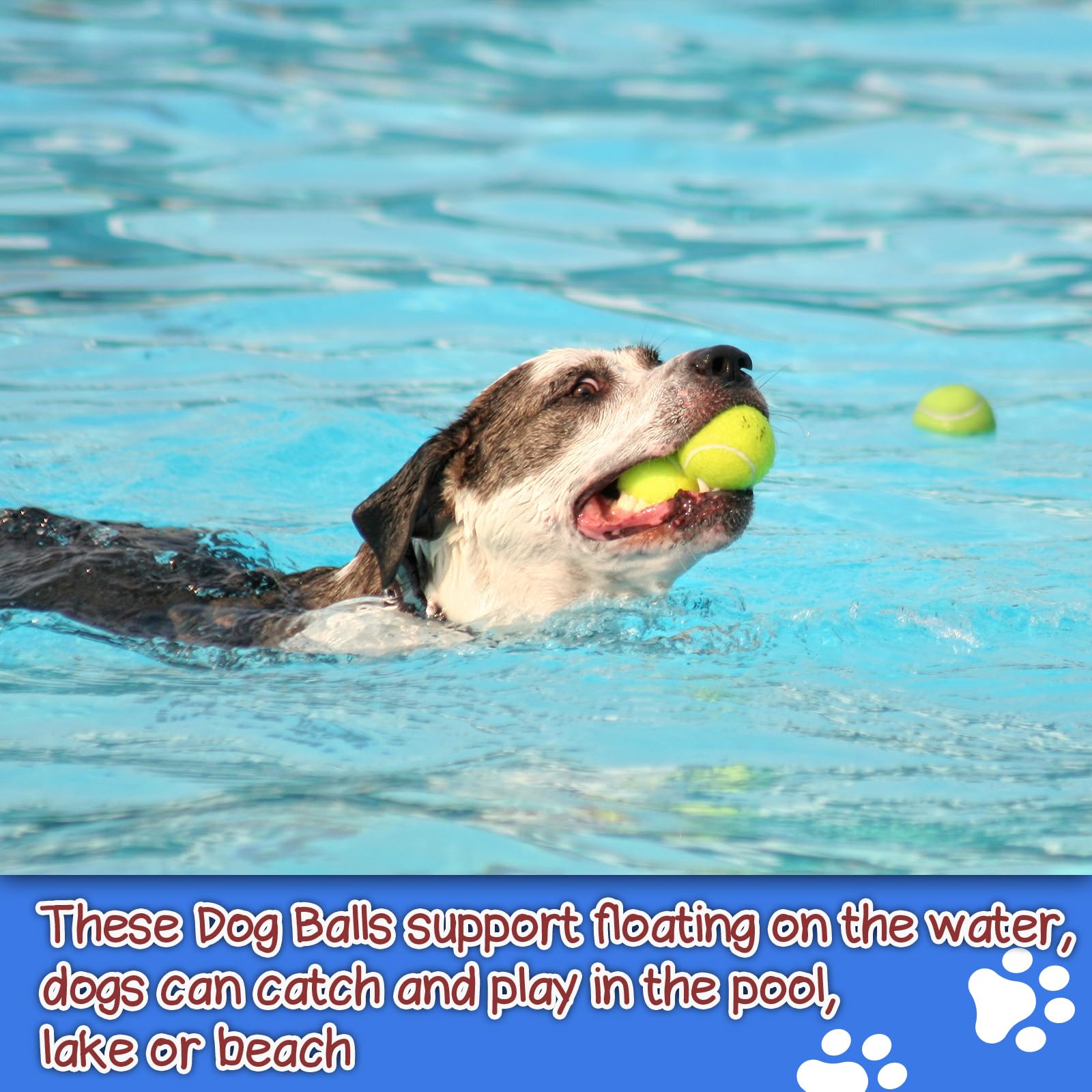 INSUM squeaky dog balls dog catching practice with durable non-toxic rubber.