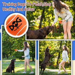 INSUM squeaky dog balls on grass boost chase and retrieval during outdoor play.