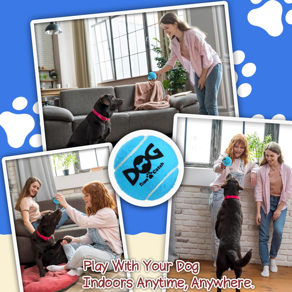 INSUM squeaky dog balls in playyard show bright colors for easy spotting.