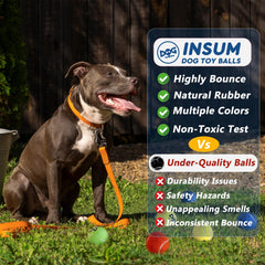 INSUM colorful bounce aids reliable fetch and training sessions.