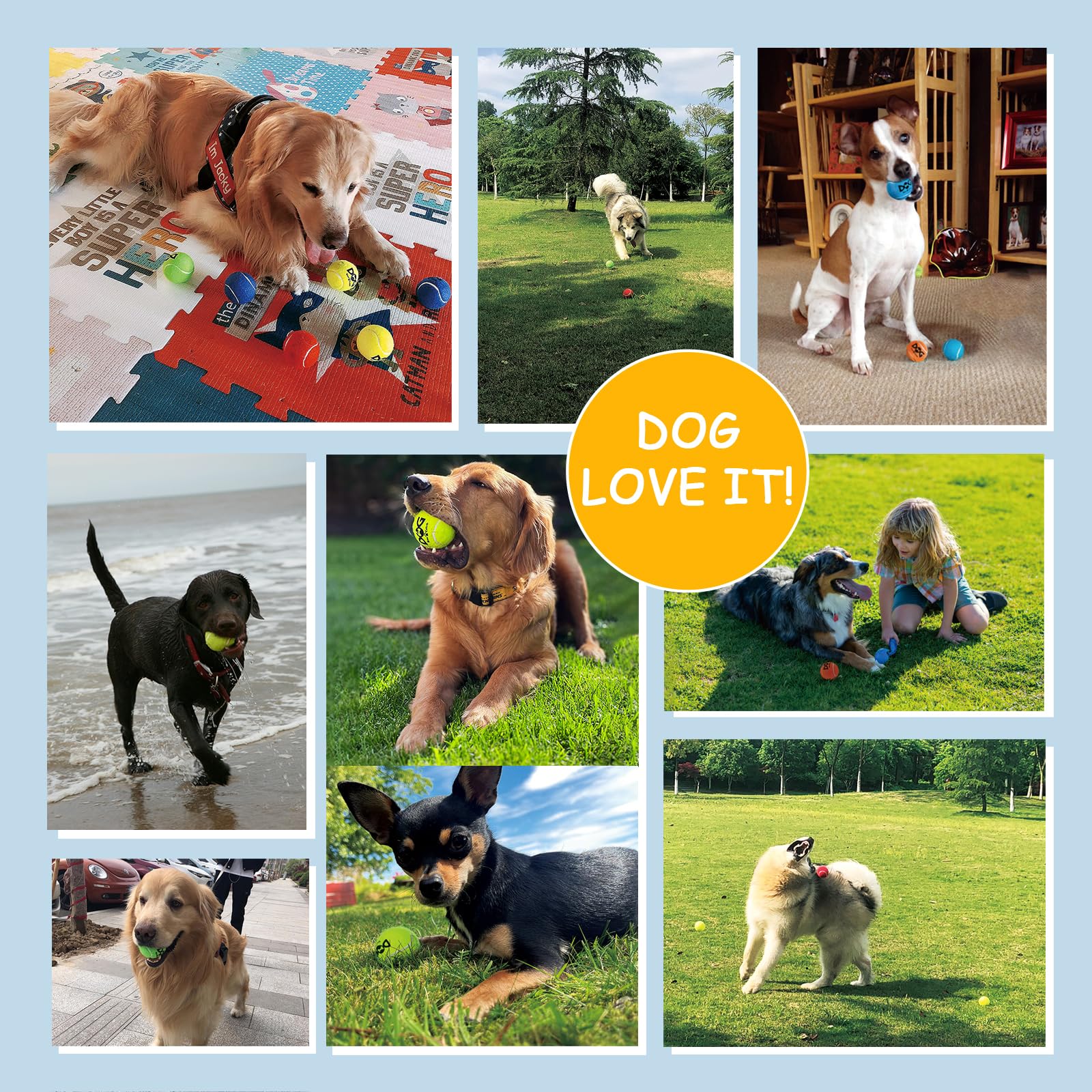 INSUM 50-pack provides good value for multi-dog households.