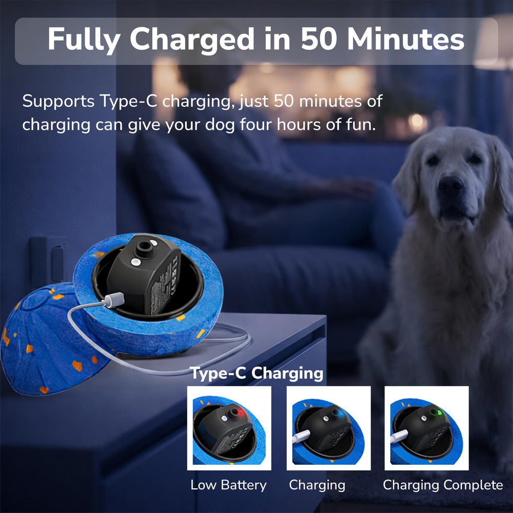 Interactive Dog Ball with chew-resistant E-TPU for durable, safe fun.