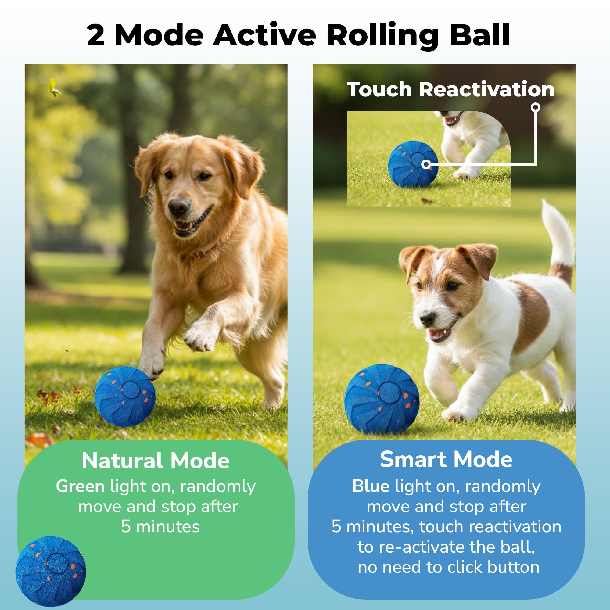 Interactive Dog Ball is suitable for all breeds and sizes.