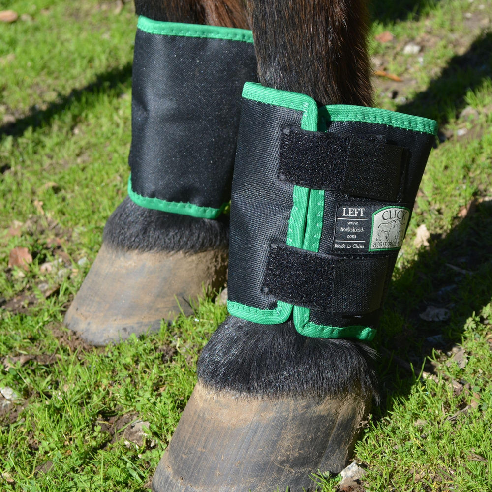 Intrepid Click Horse Fetlock Shield black and green trim improves visibility and style.