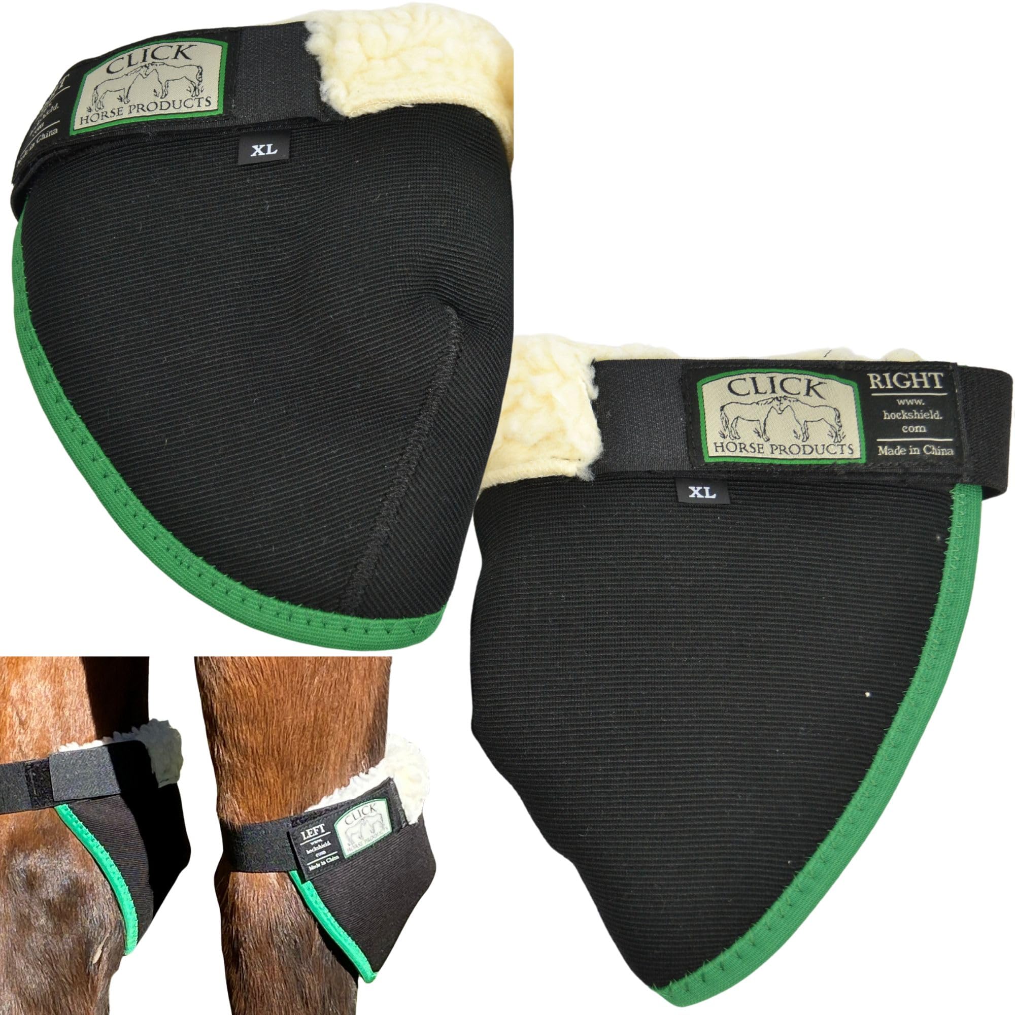 Intrepid Click Horse Hock Shield front view with black and green trim, full hock protection.
