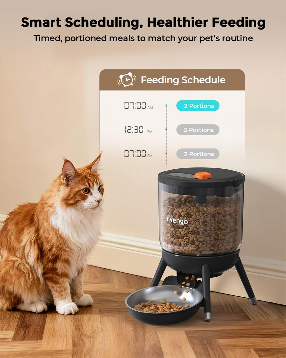 Sealed lid with anti-bug design preserves dry food freshness.