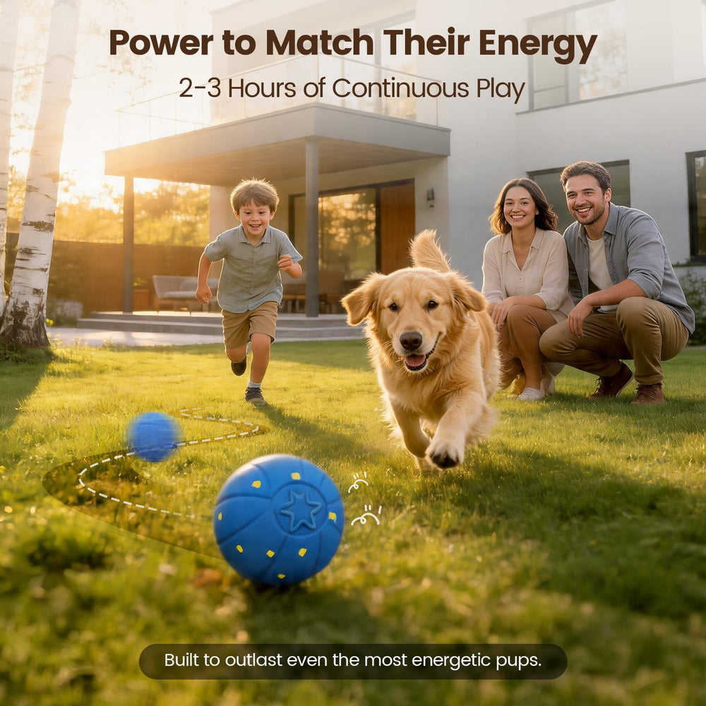 Invengo chew-resistant, lightweight ball for daily fun and fetch.