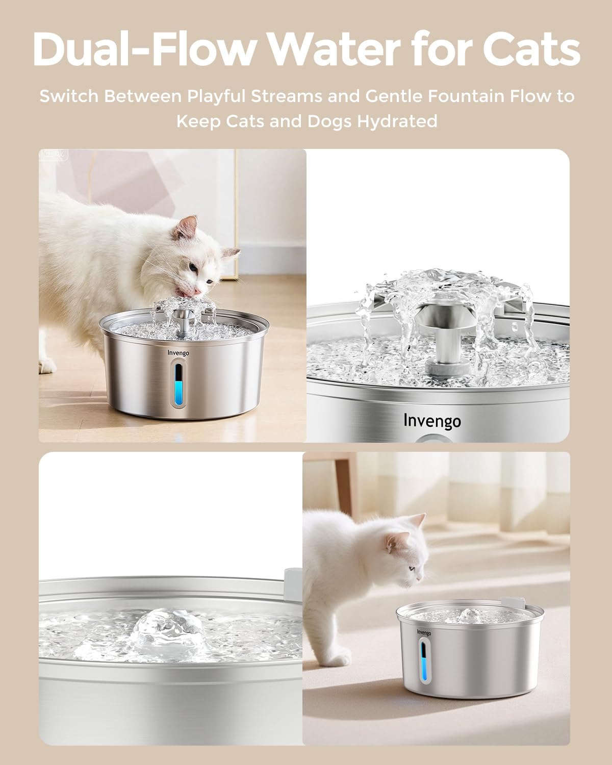 Invengo dual water flow design entices cats and small dogs to drink.