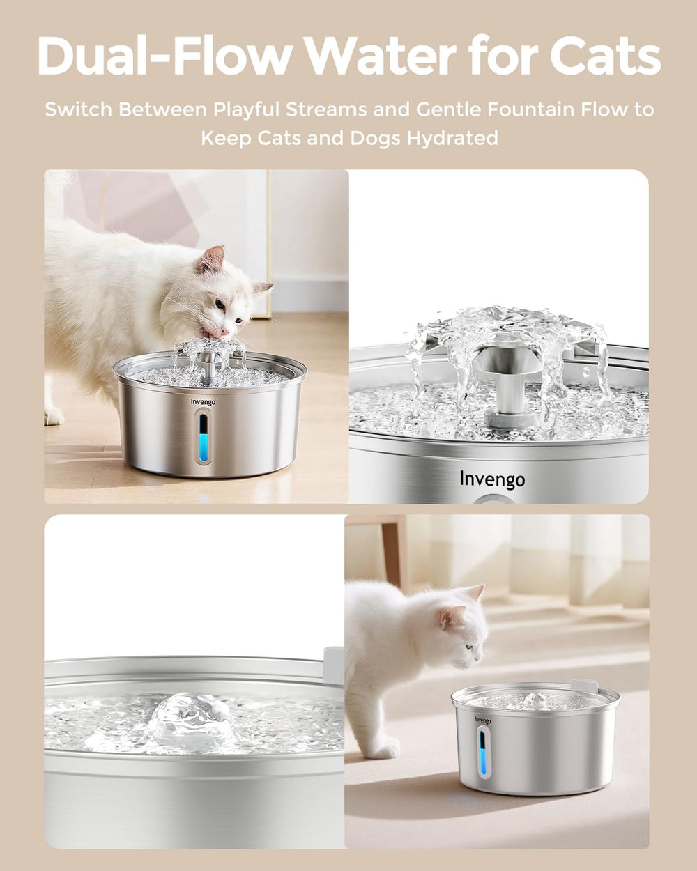 Invengo dual water flow design entices cats and small dogs to drink.