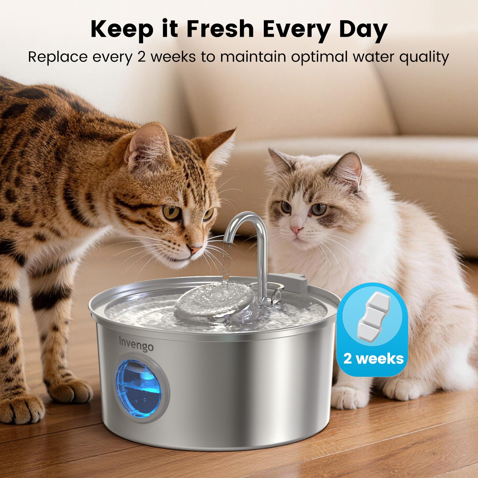 Invengo MeowFlow fountain with filters demonstrates ongoing fresh water for pets