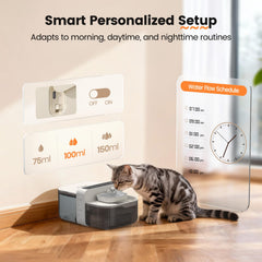 Invengo No-Filter Wireless Cat Water Fountain wastewater separation emphasizes fresh water availability