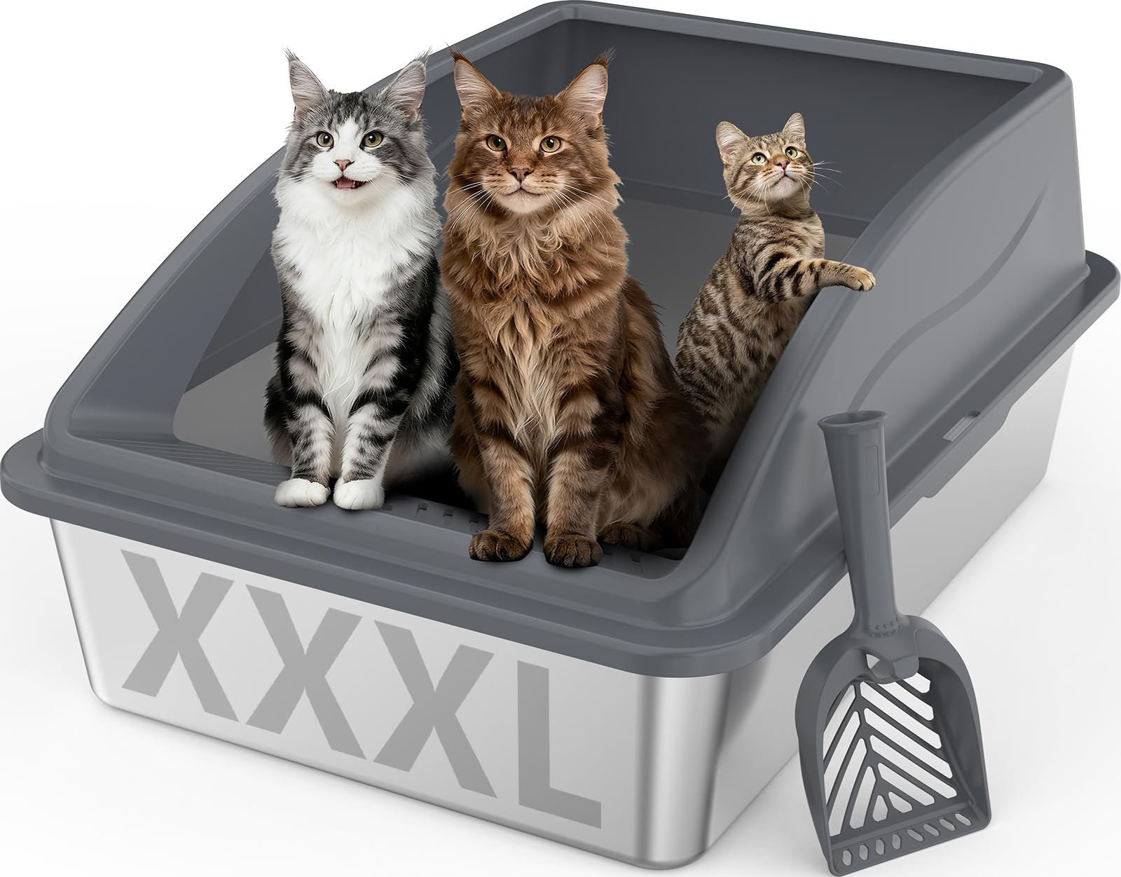 INVENHO extra large XXXL litter box top view shows spacious interior for big cats