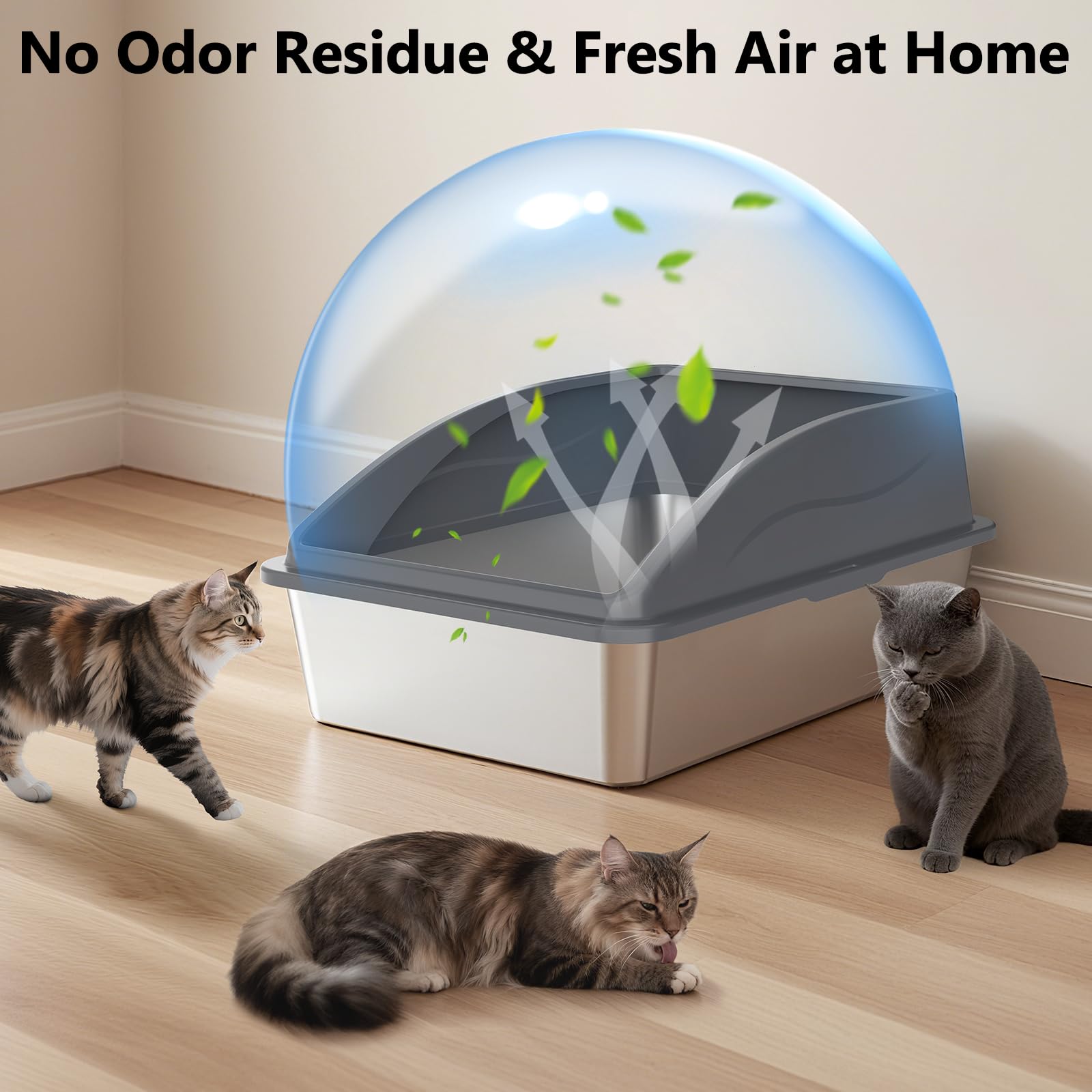 INVENHO large cat litter box in use with ample space